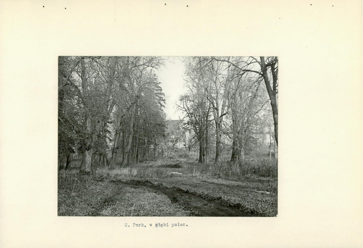 Ewidencja parkowa, skan nr 18