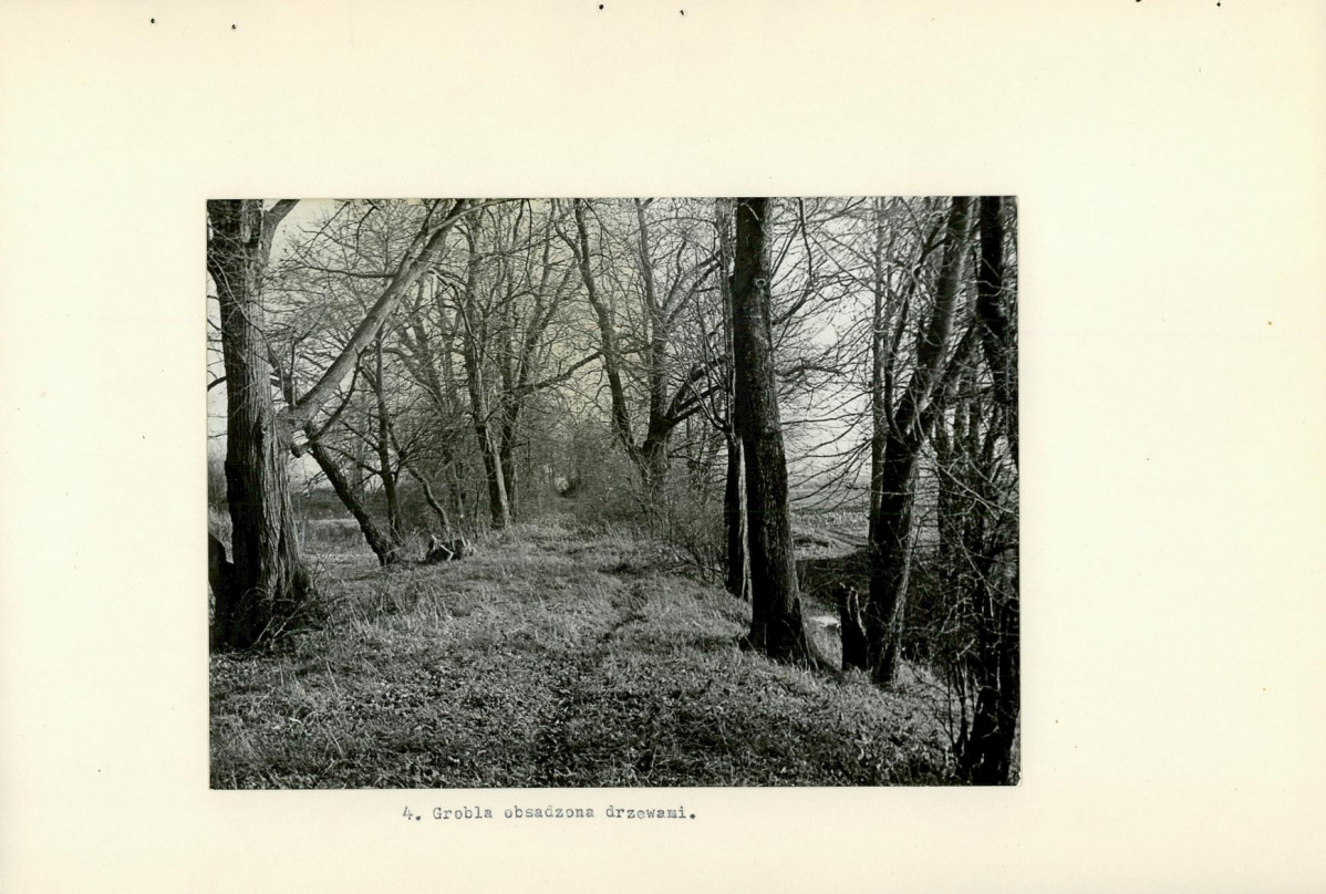 Ewidencja parkowa, skan nr 20