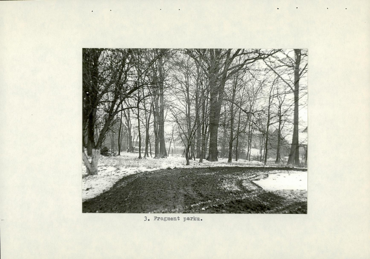 Ewidencja parkowa, skan nr 16