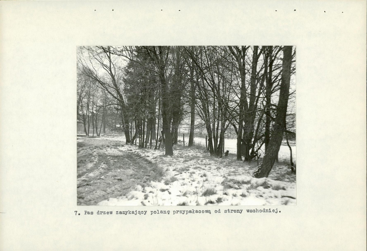 Ewidencja parkowa, skan nr 20