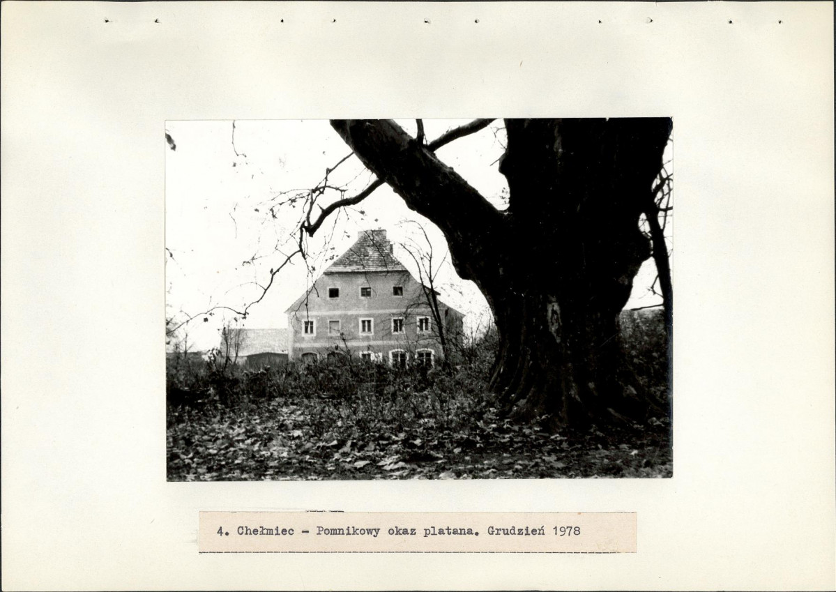 Ewidencja parkowa, skan nr 24