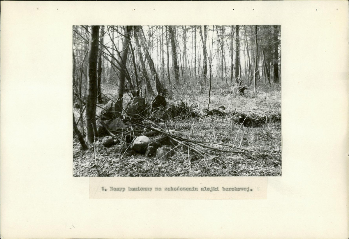 Ewidencja parkowa, skan nr 17