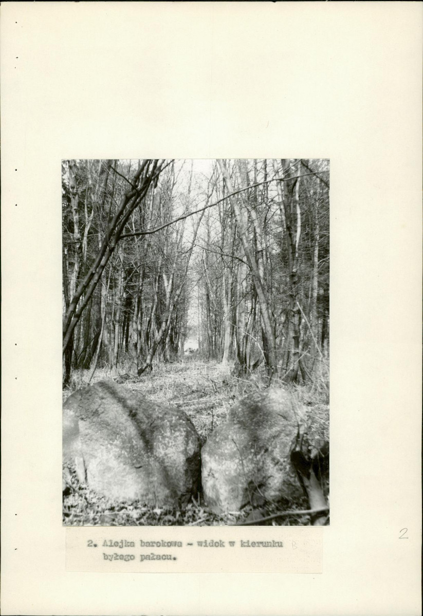 Ewidencja parkowa, skan nr 18