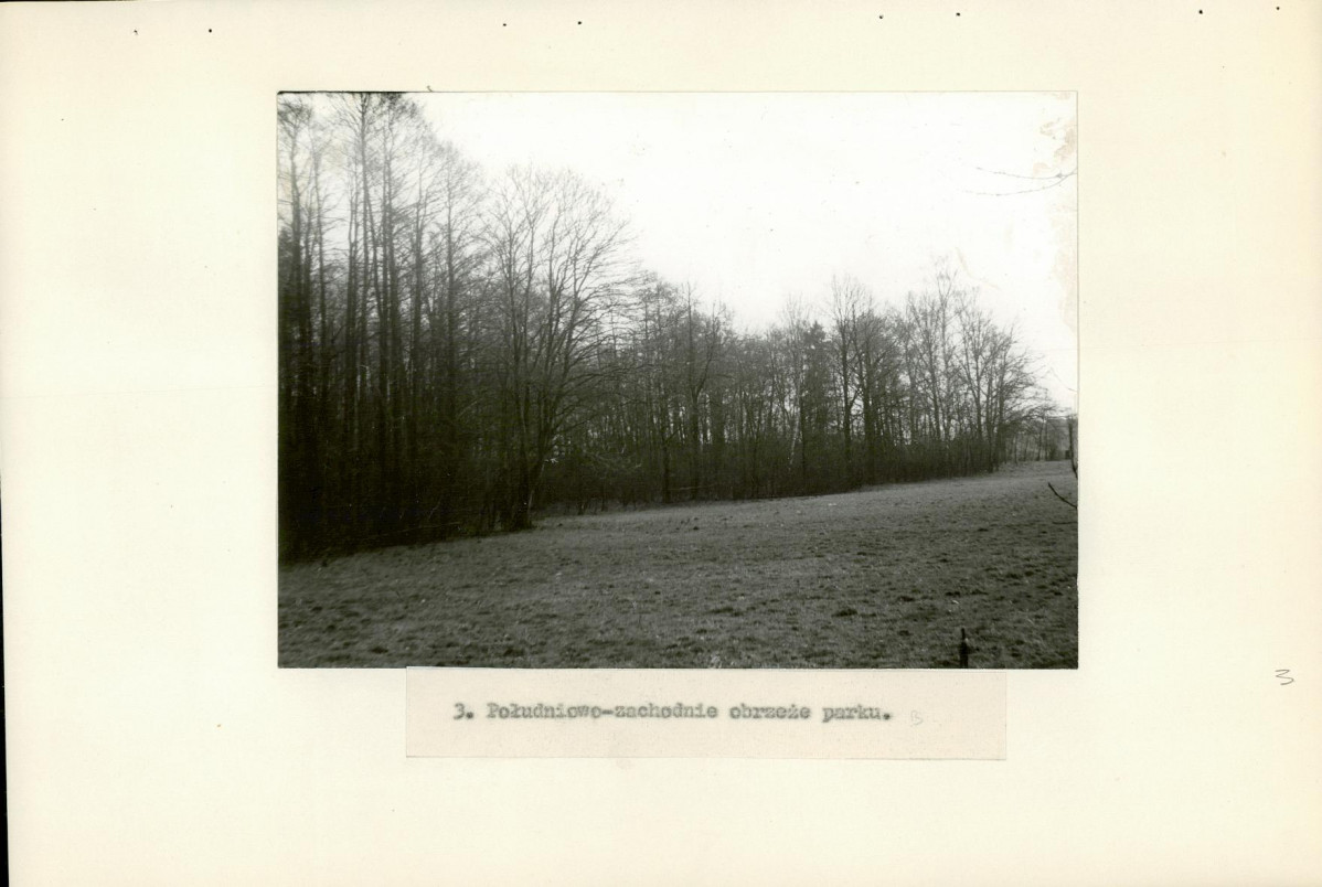 Ewidencja parkowa, skan nr 19