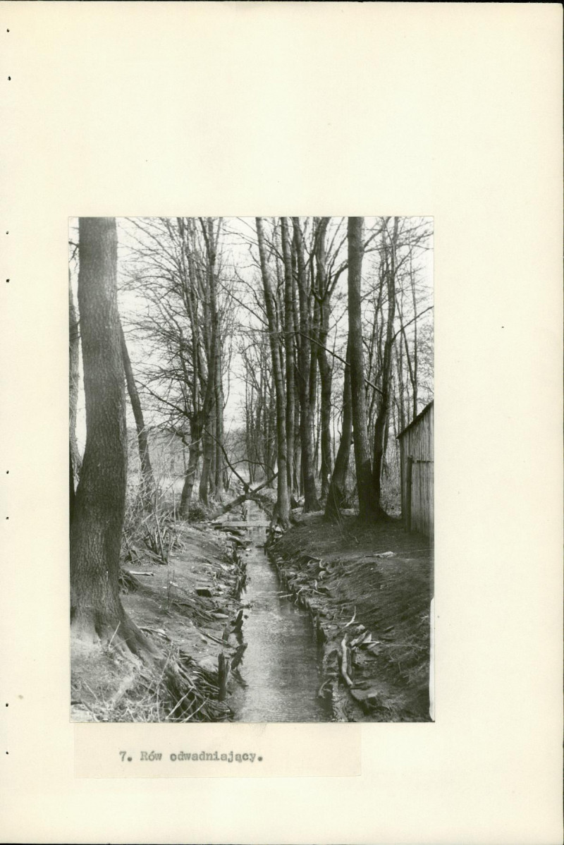 Ewidencja parkowa, skan nr 23