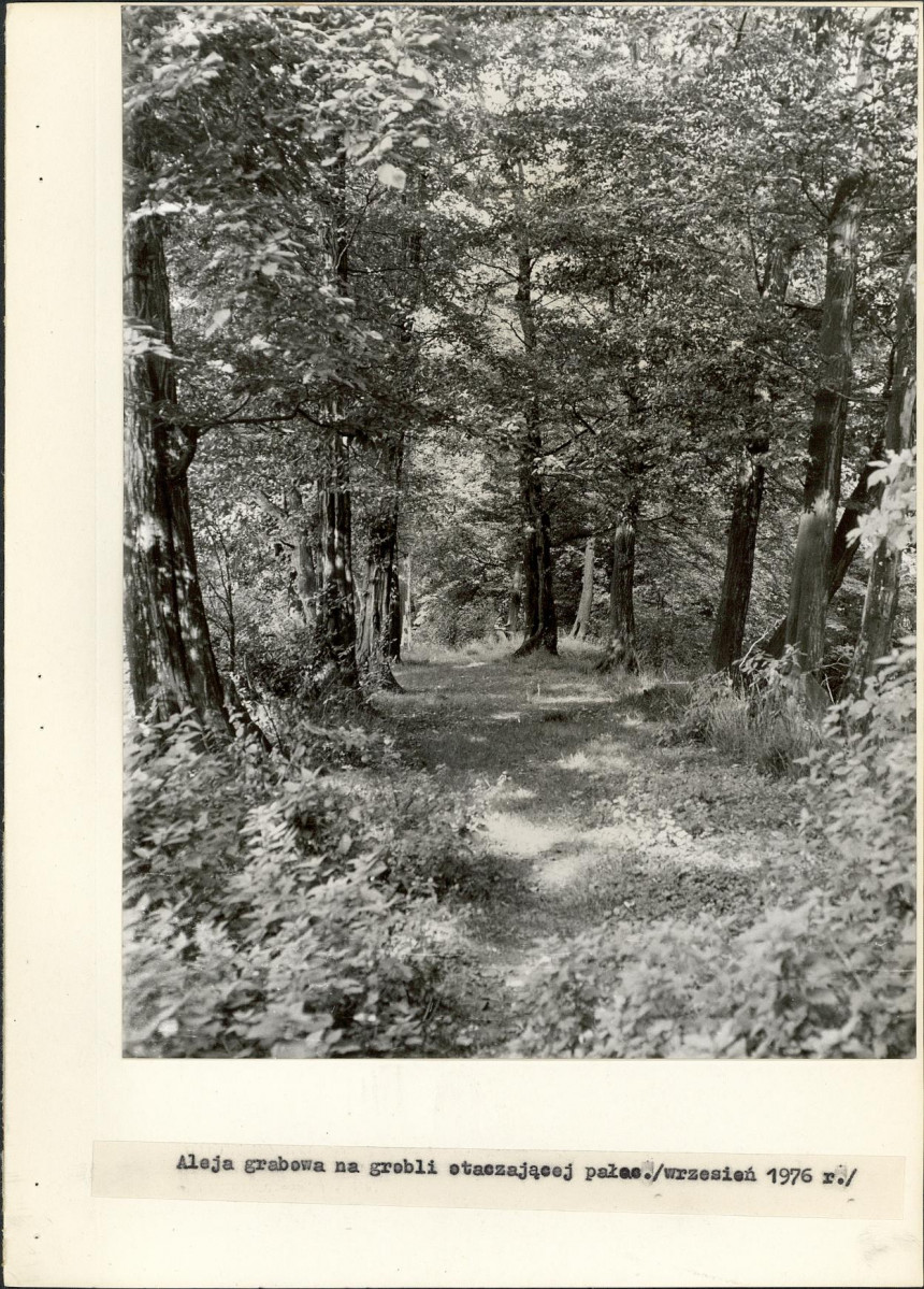 Ewidencja parkowa, skan nr 20