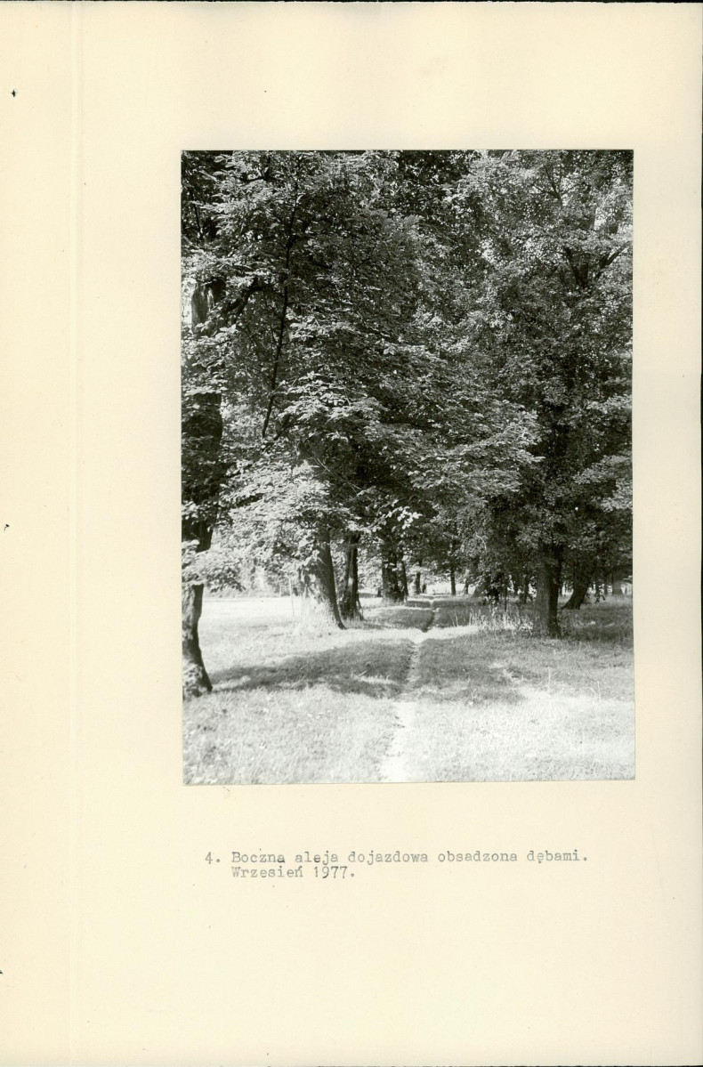 Ewidencja parkowa, skan nr 29
