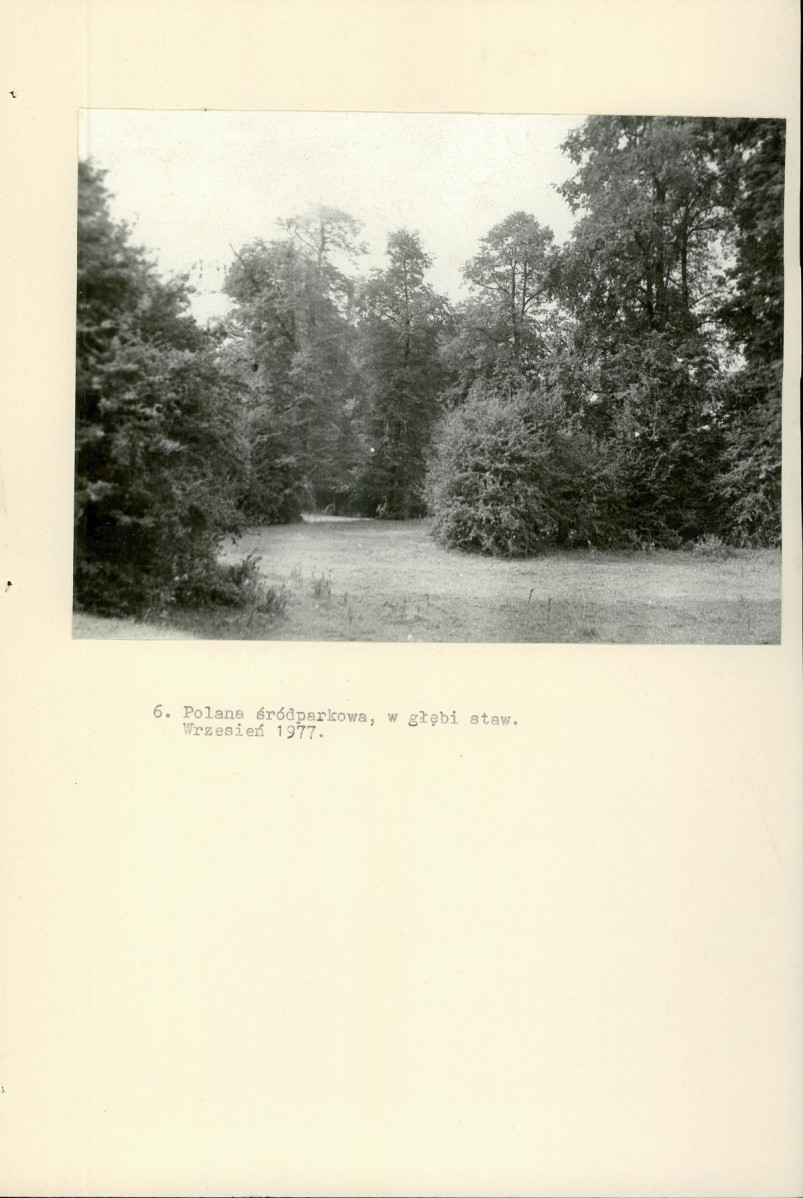 Ewidencja parkowa, skan nr 31