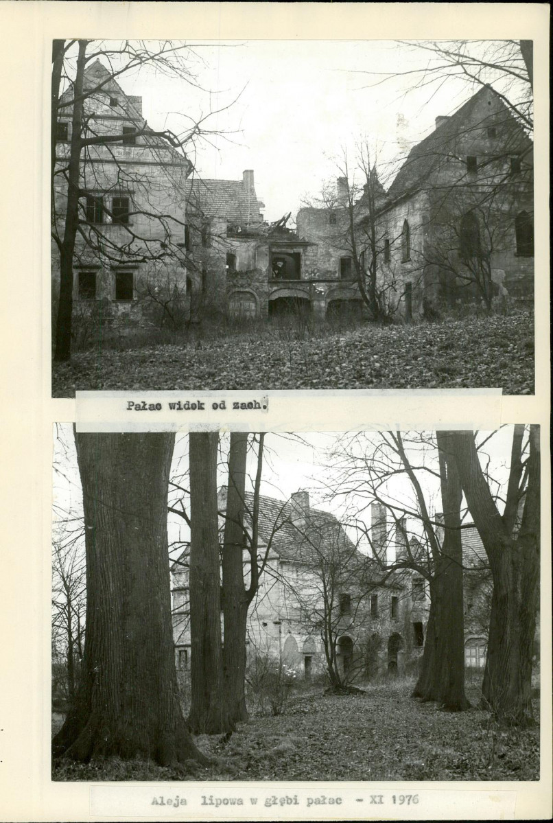 EP - Ewidencja parkowa, skan nr 19