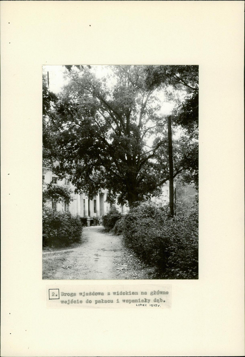 Ewidencja parkowa, skan nr 22