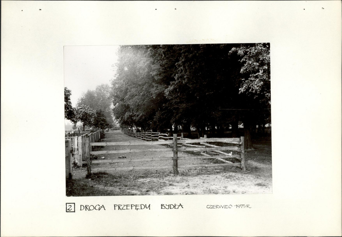 Ewidencja parkowa, skan nr 18