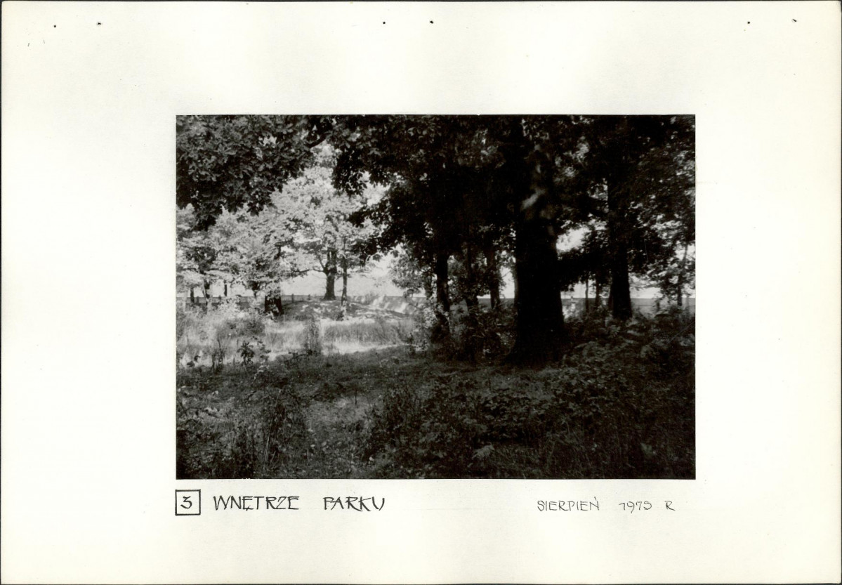 Ewidencja parkowa, skan nr 19