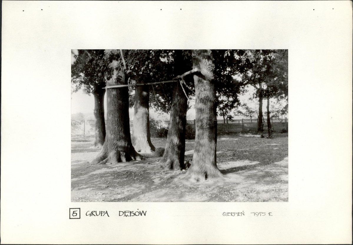 Ewidencja parkowa, skan nr 21