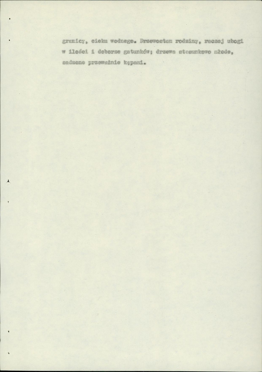 Ewidencja parkowa, skan nr 11