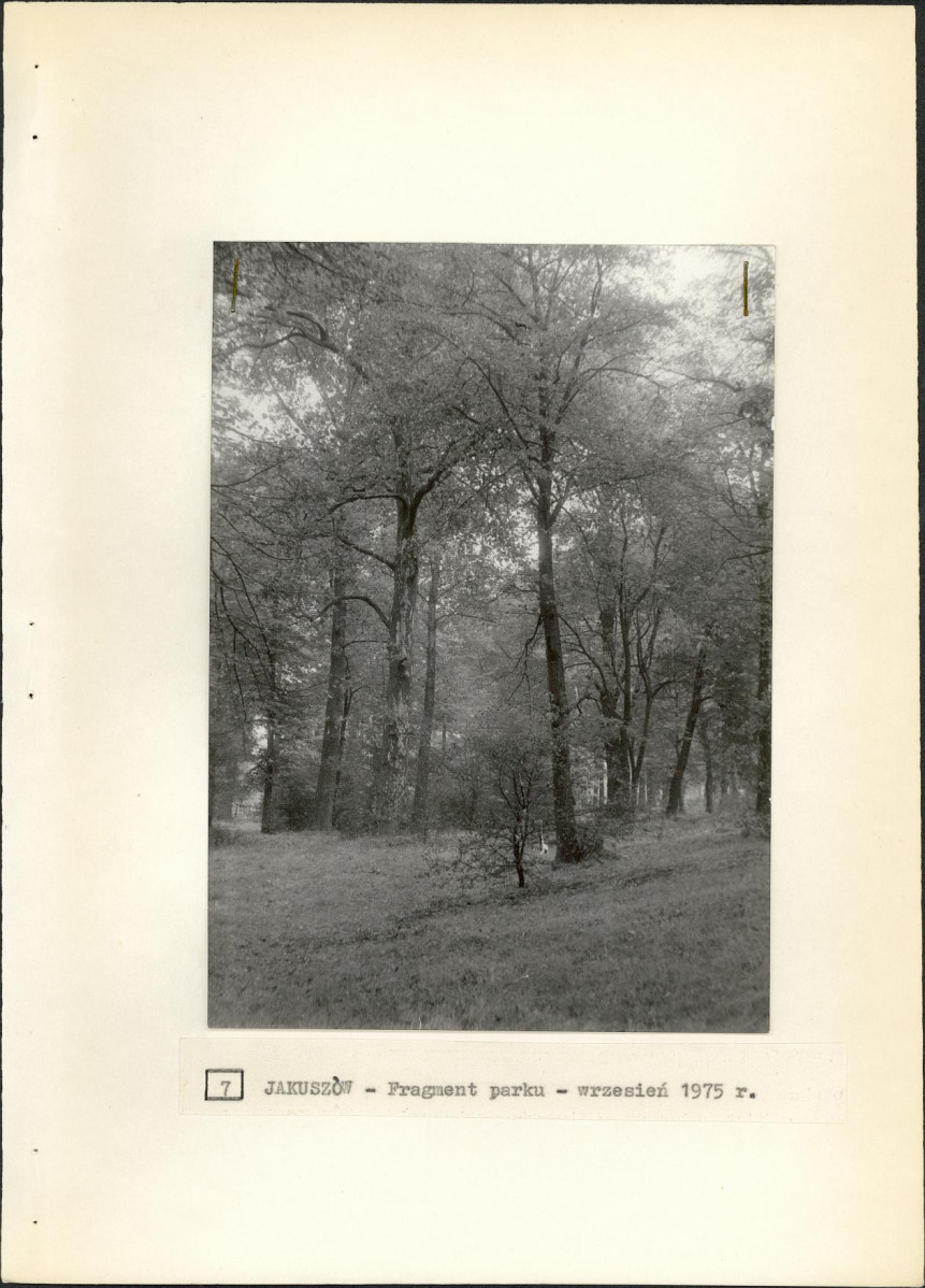 Ewidencja parkowa, skan nr 23