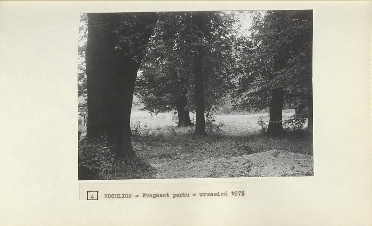 Ewidencja parkowa, skan nr 22