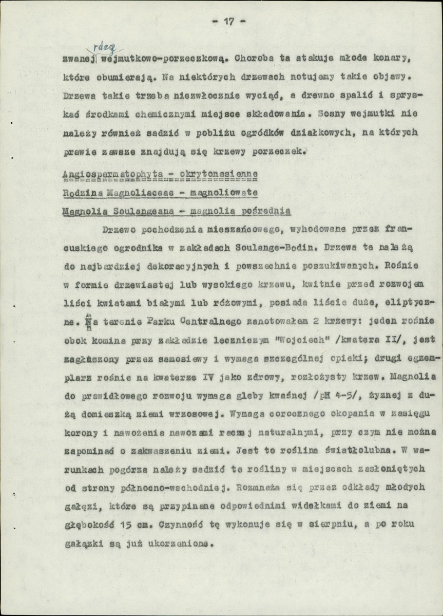 Ewidencja parkowa, skan nr 21