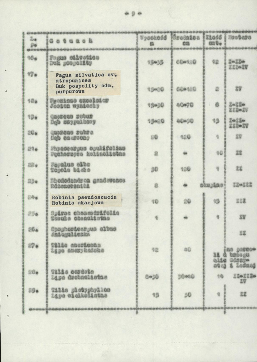 Ewidencja parkowa, skan nr 13