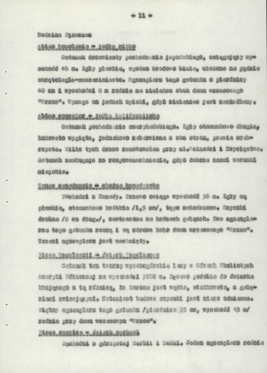 Ewidencja parkowa, skan nr 15