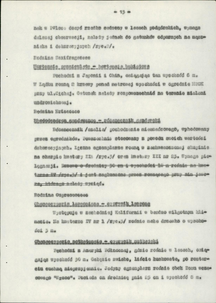 Ewidencja parkowa, skan nr 17