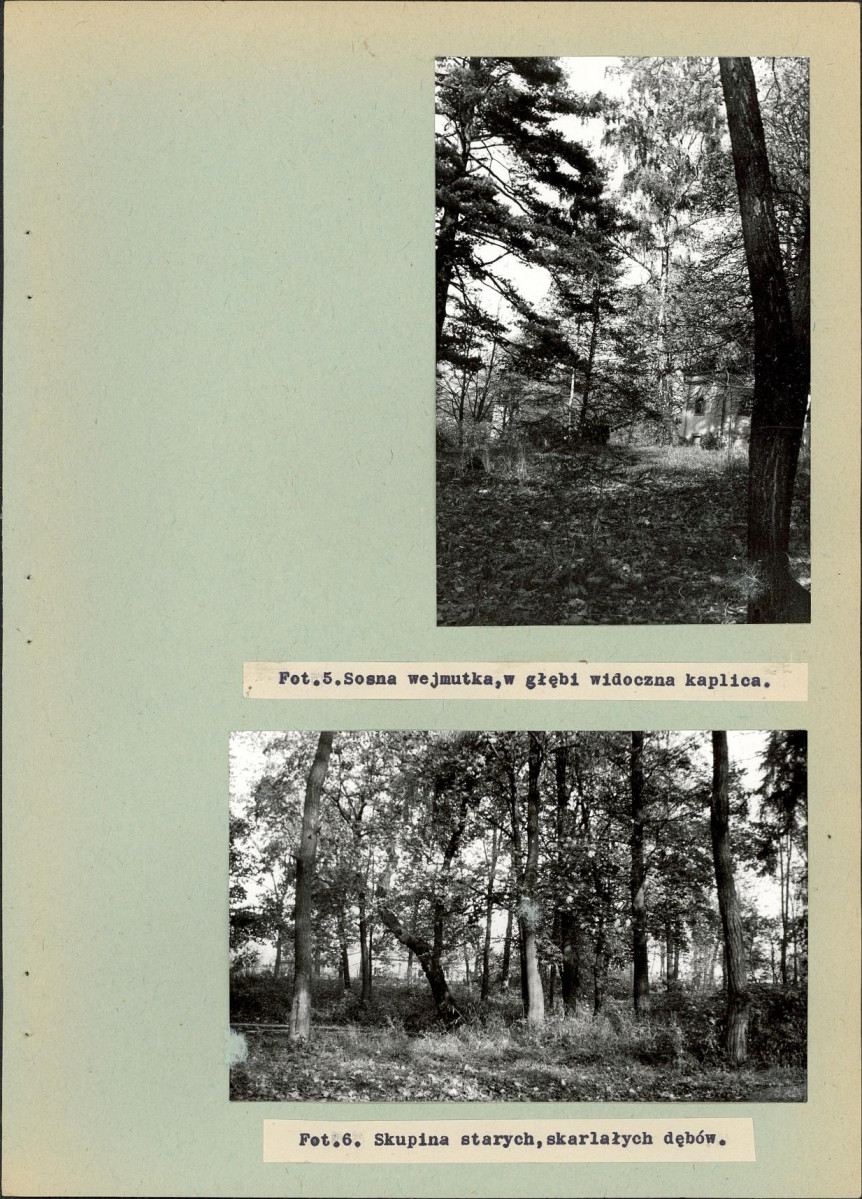 Ewidencja parkowa, skan nr 28