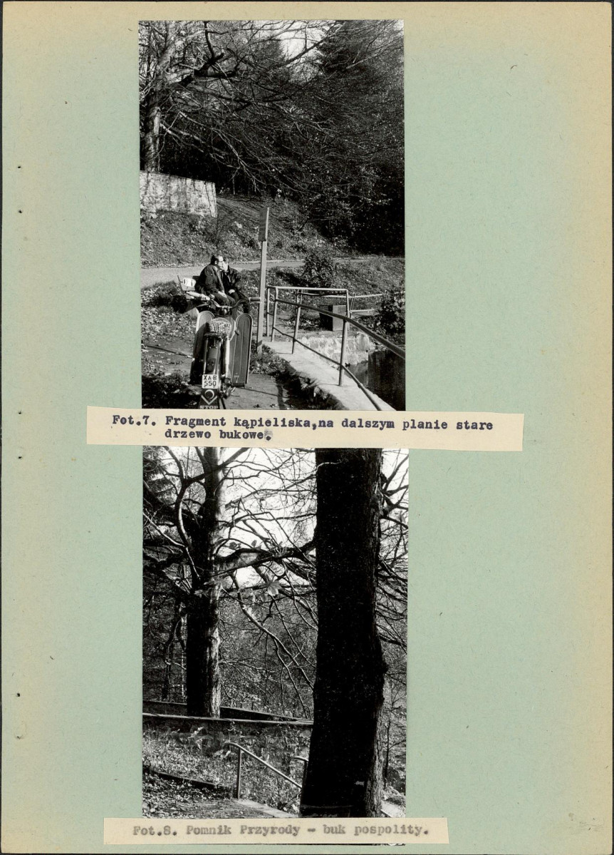 Ewidencja parkowa, skan nr 29