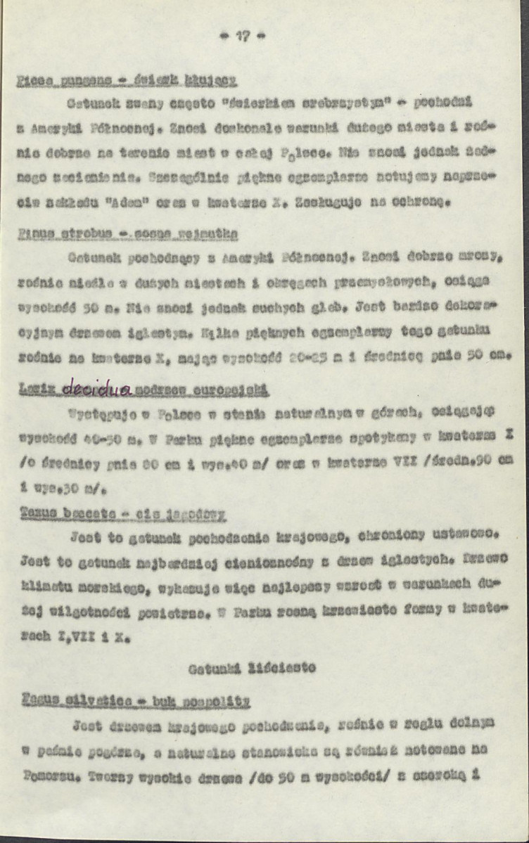Ewidencja parkowa, skan nr 21