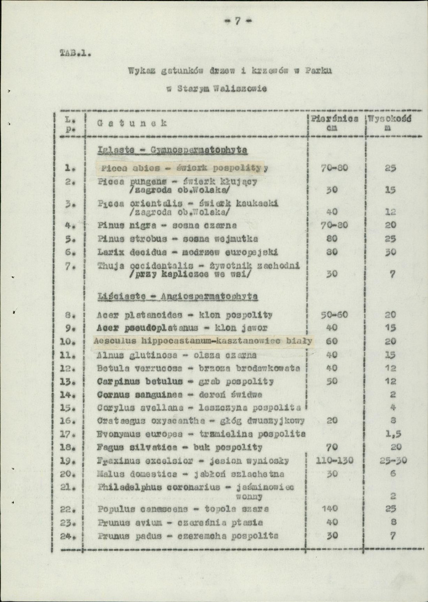 Ewidencja parkowa, skan nr 11