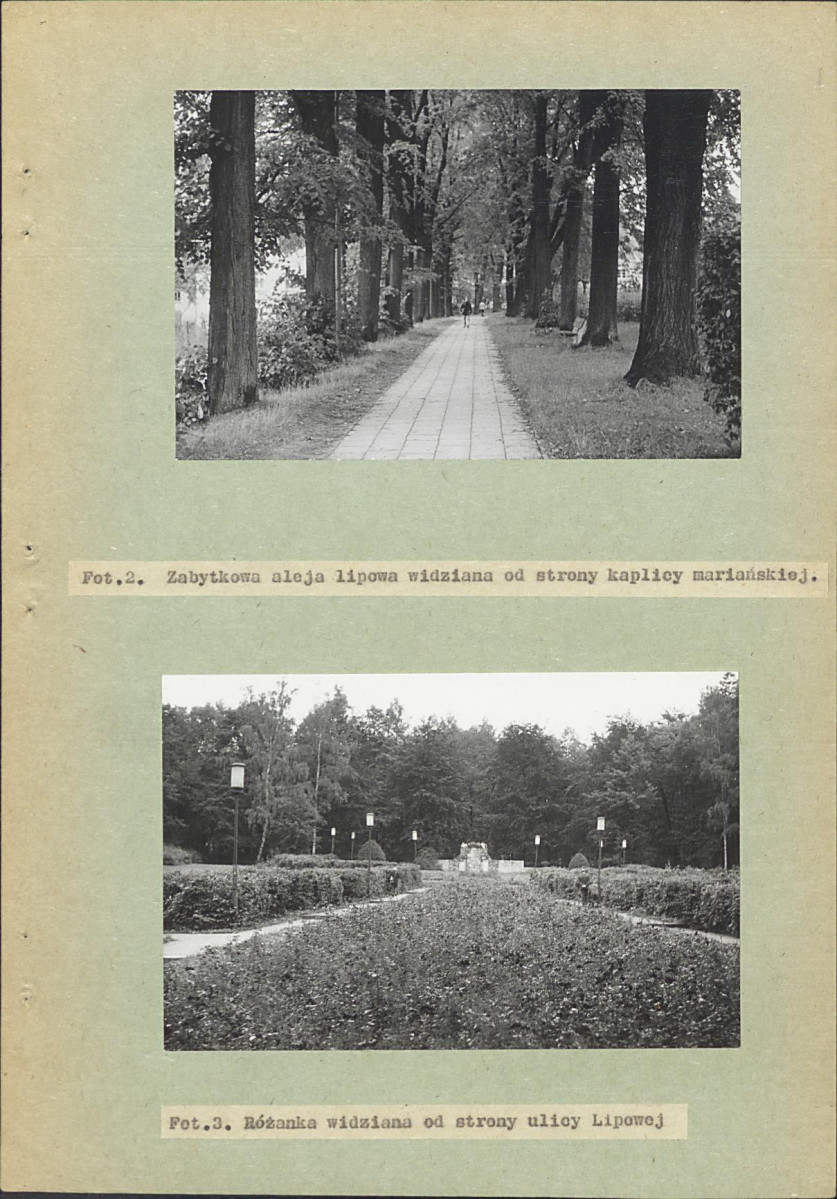 Ewidencja parkowa, skan nr 32