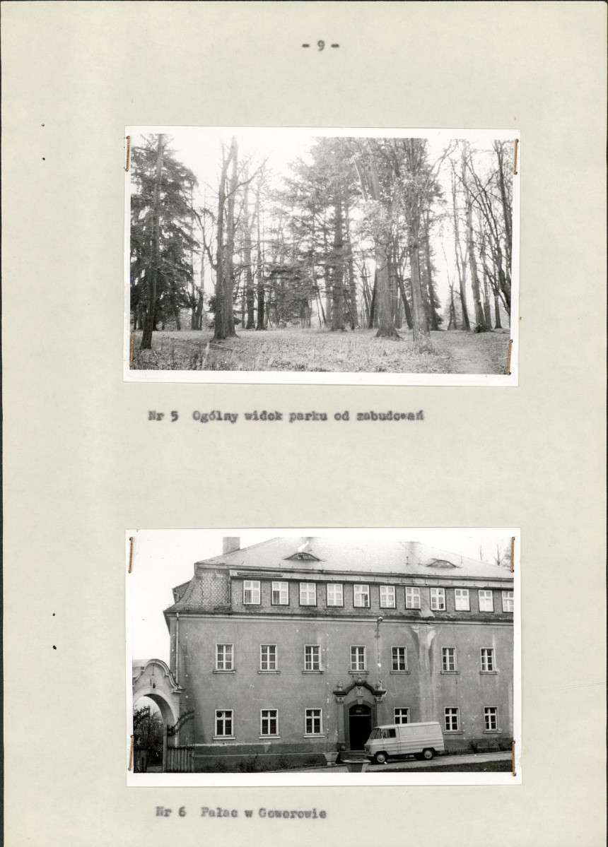 Ewidencja parkowa, skan nr 13