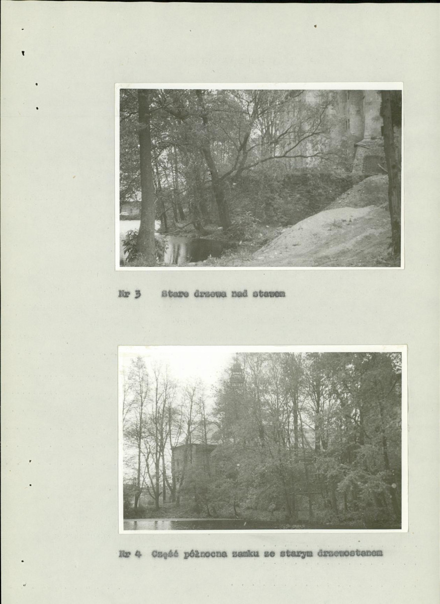 Ewidencja parkowa, skan nr 10