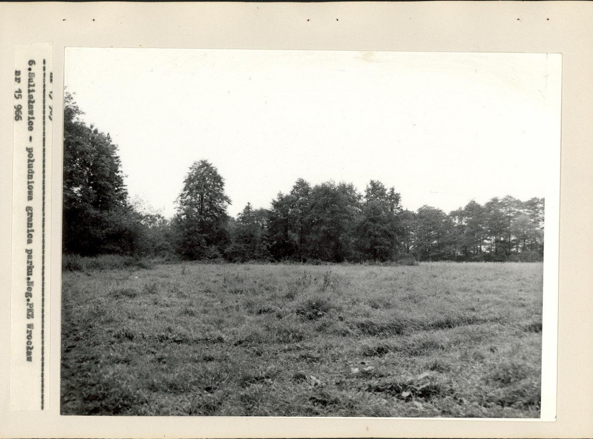 Ewidencja parkowa, skan nr 21