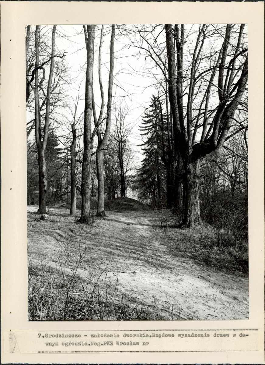 Ewidencja parkowa, skan nr 23