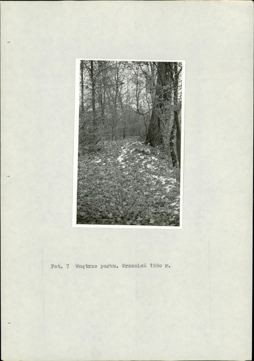 Ewidencja parkowa, skan nr 21