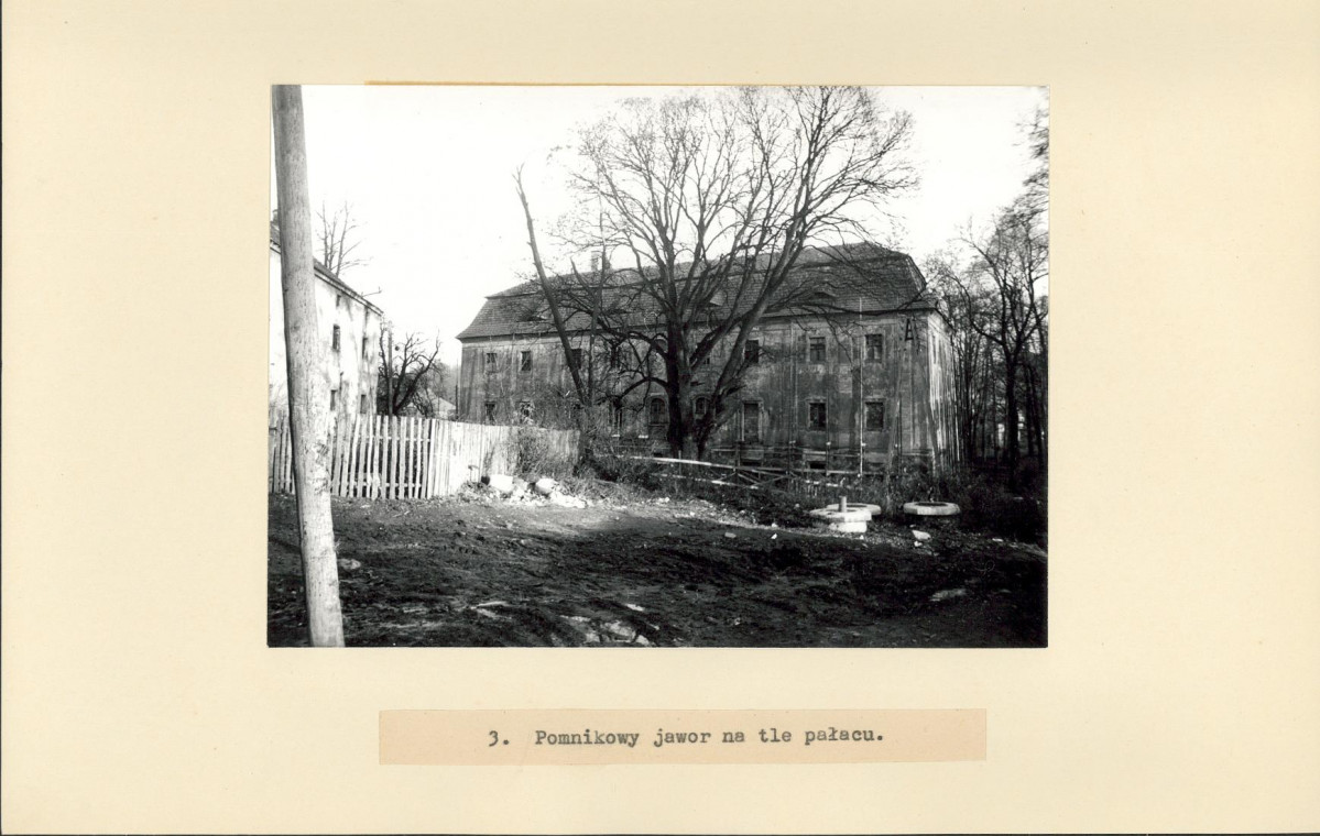 Ewidencja parkowa, skan nr 20