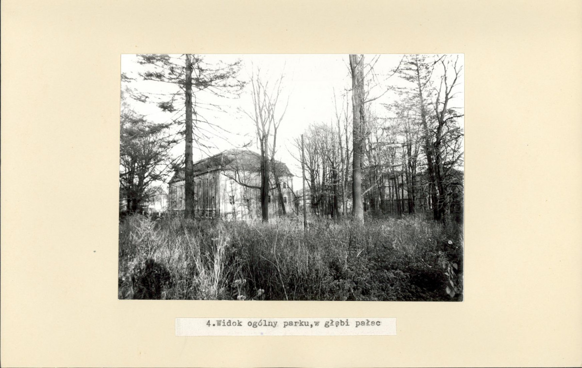 Ewidencja parkowa, skan nr 21