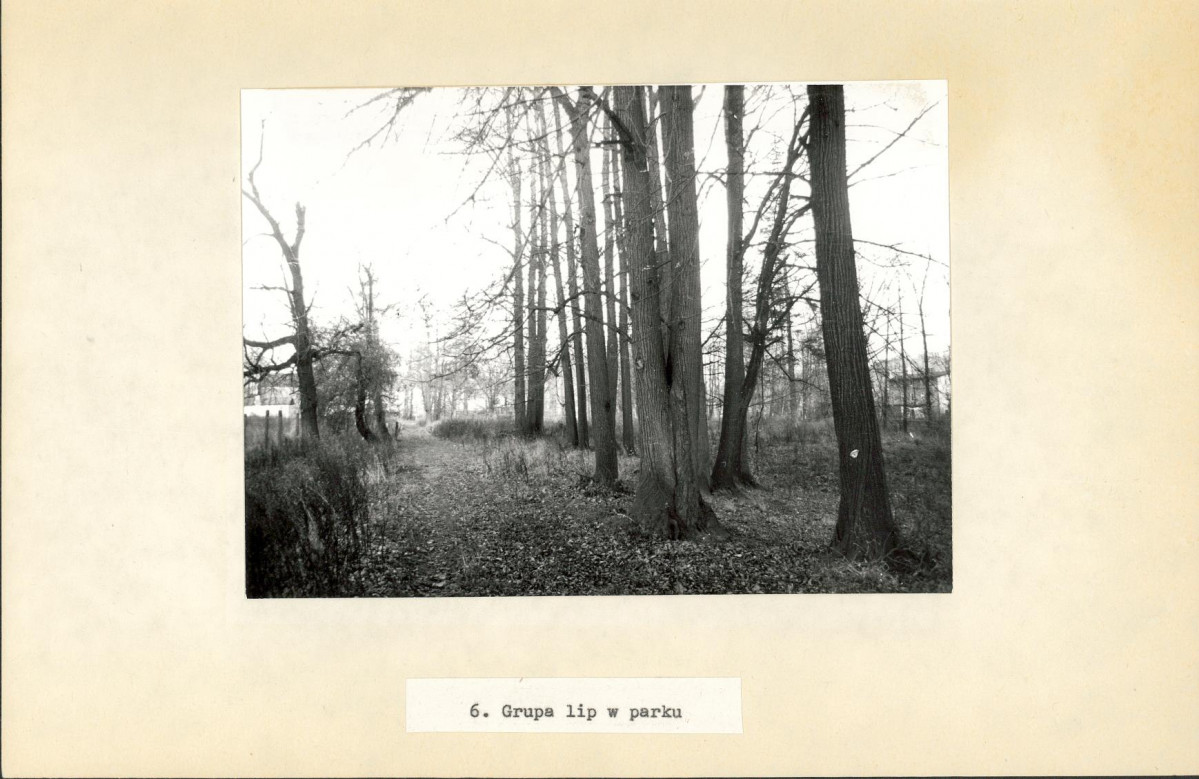 Ewidencja parkowa, skan nr 23
