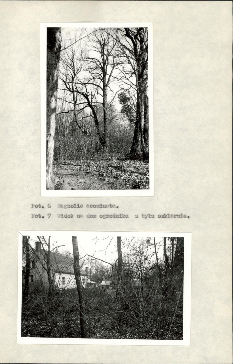 Ewidencja parkowa, skan nr 18