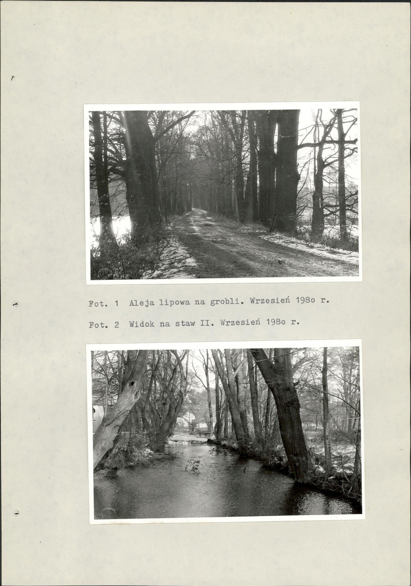 Ewidencja parkowa, skan nr 20