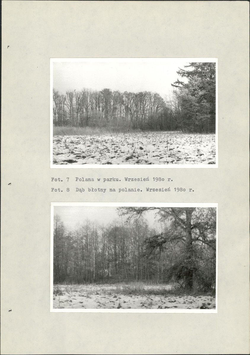 Ewidencja parkowa, skan nr 23