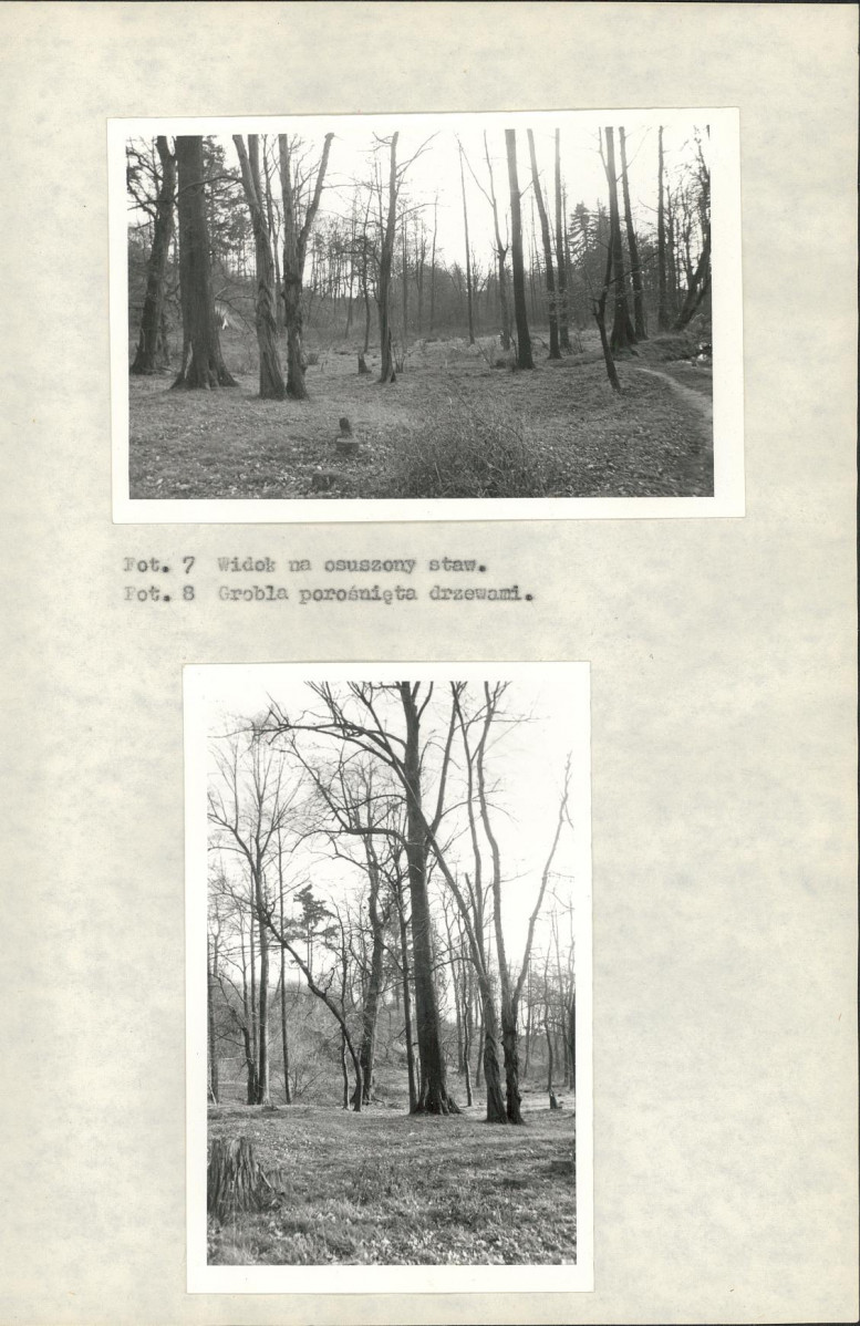 Ewidencja parkowa, skan nr 19