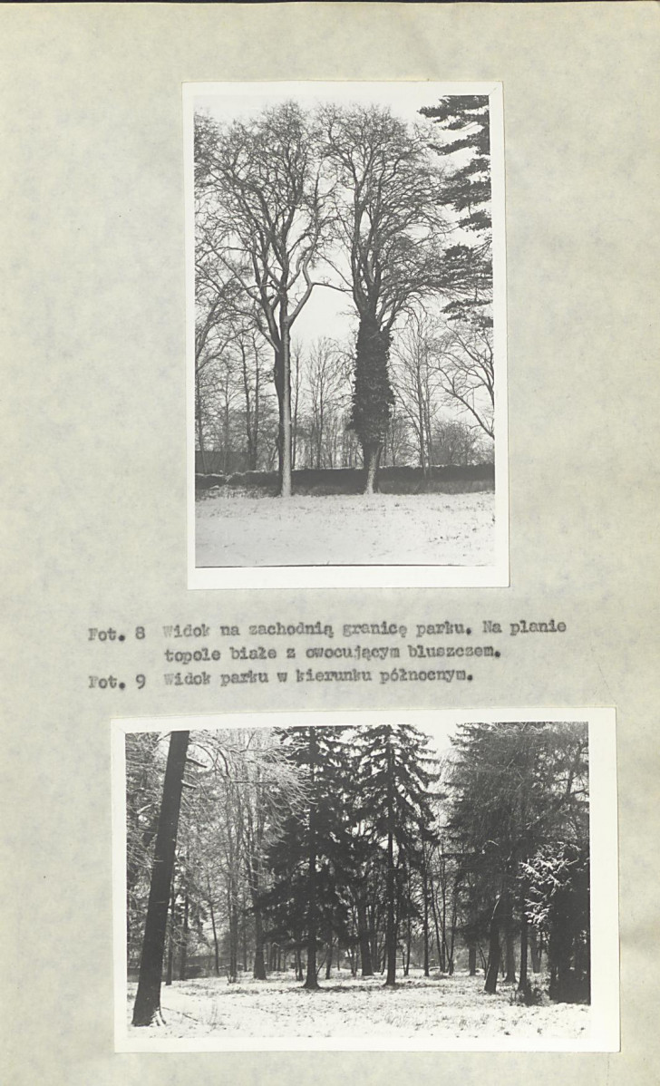 Ewidencja parkowa, skan nr 21