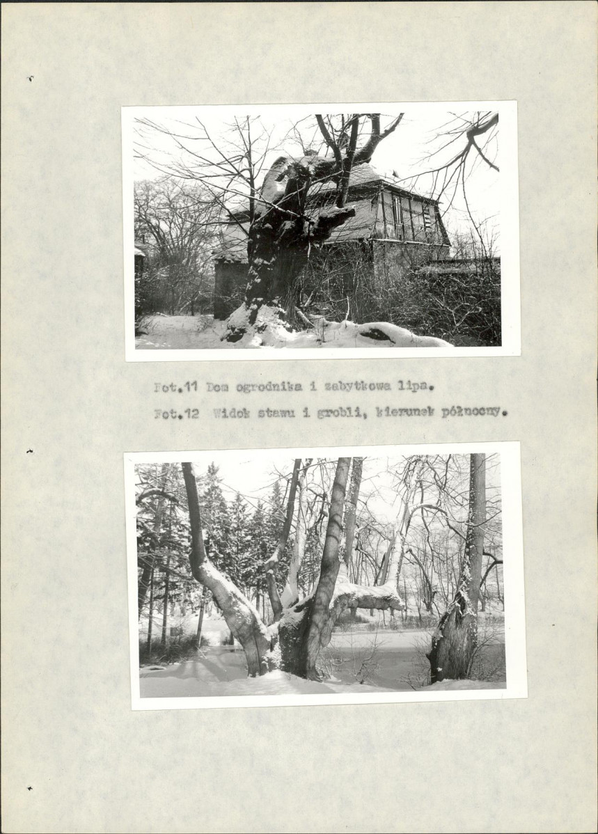 Ewidencja parkowa, skan nr 24