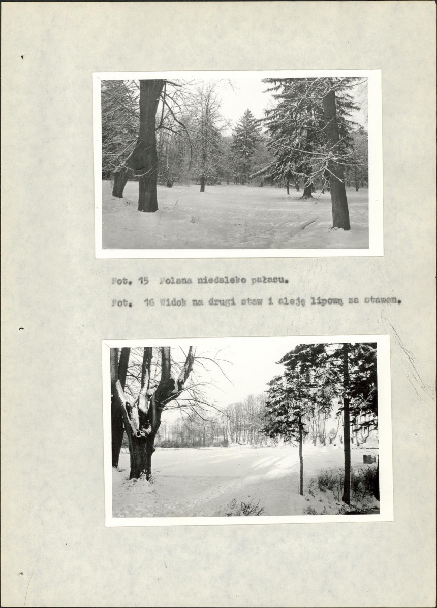 Ewidencja parkowa, skan nr 26