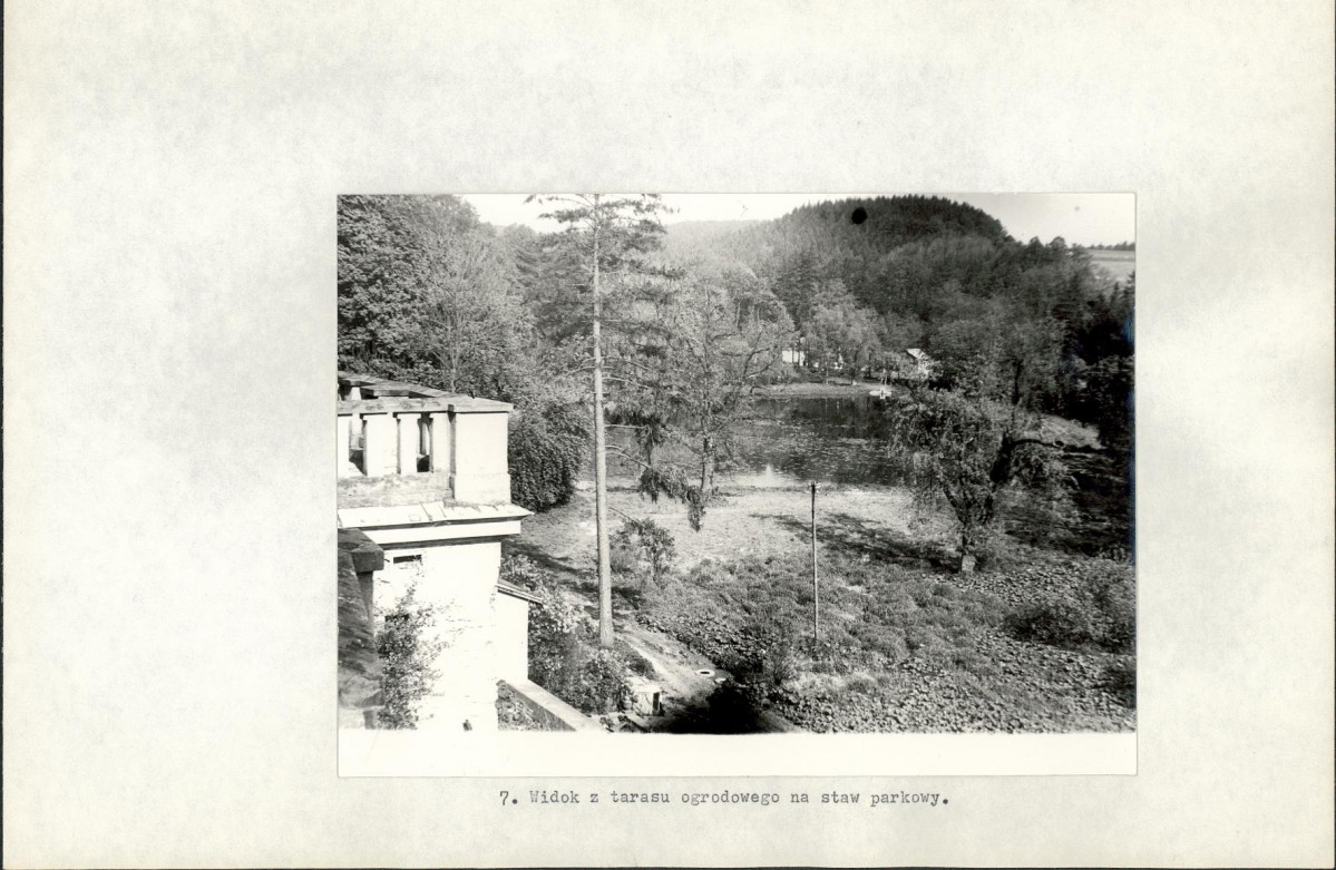 Ewidencja parkowa, skan nr 21