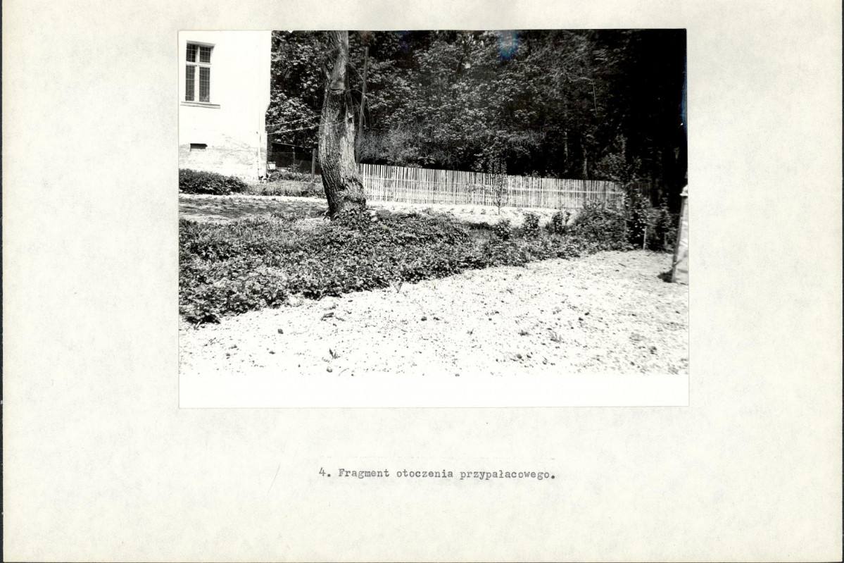 Ewidencja parkowa, skan nr 16