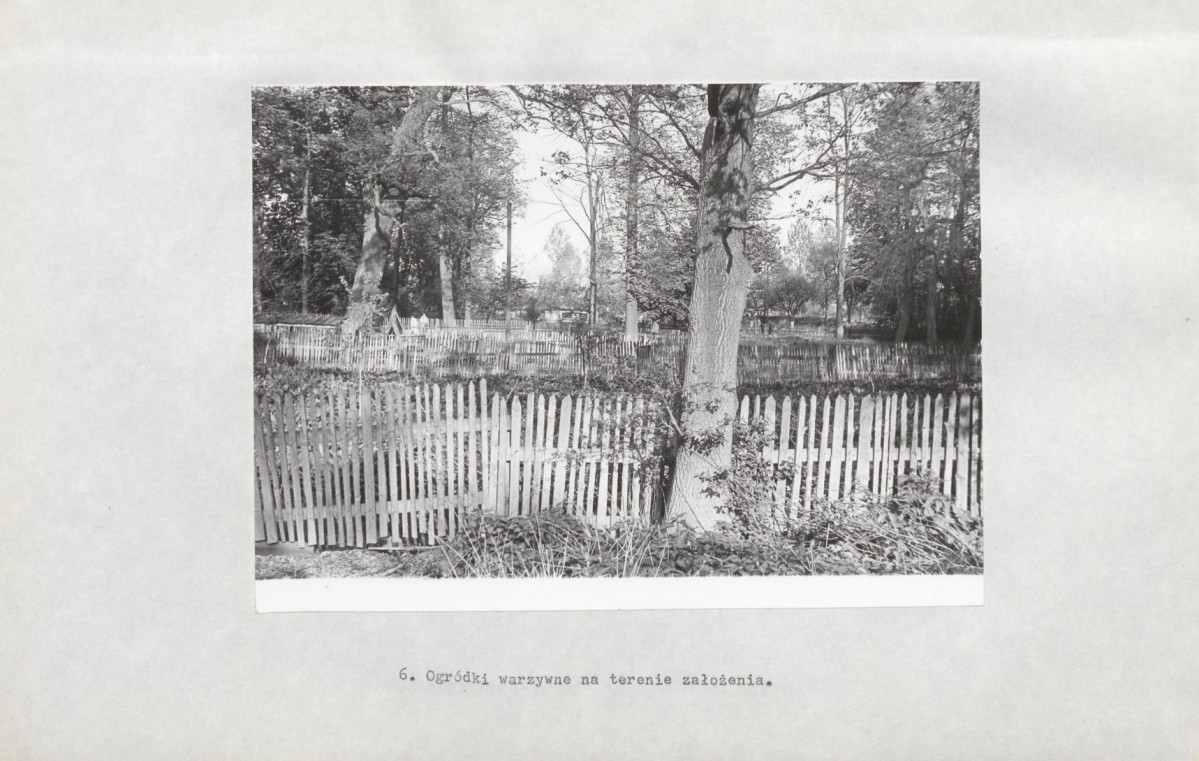 Ewidencja parkowa, skan nr 18