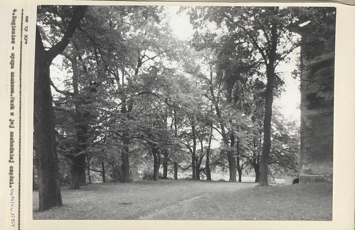 Ewidencja parkowa, skan nr 19