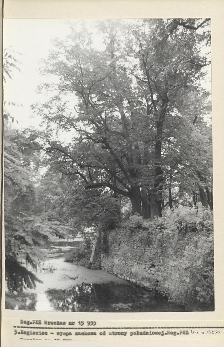 Ewidencja parkowa, skan nr 20