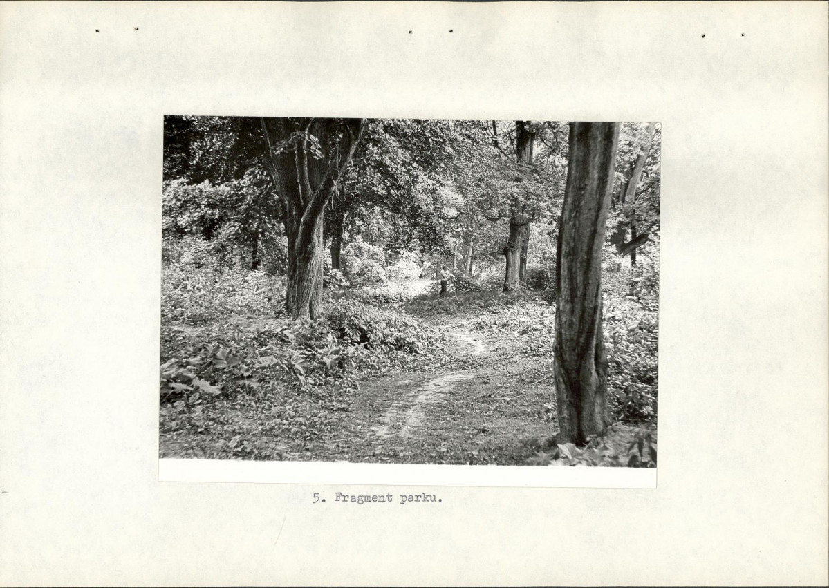 Ewidencja parkowa, skan nr 16